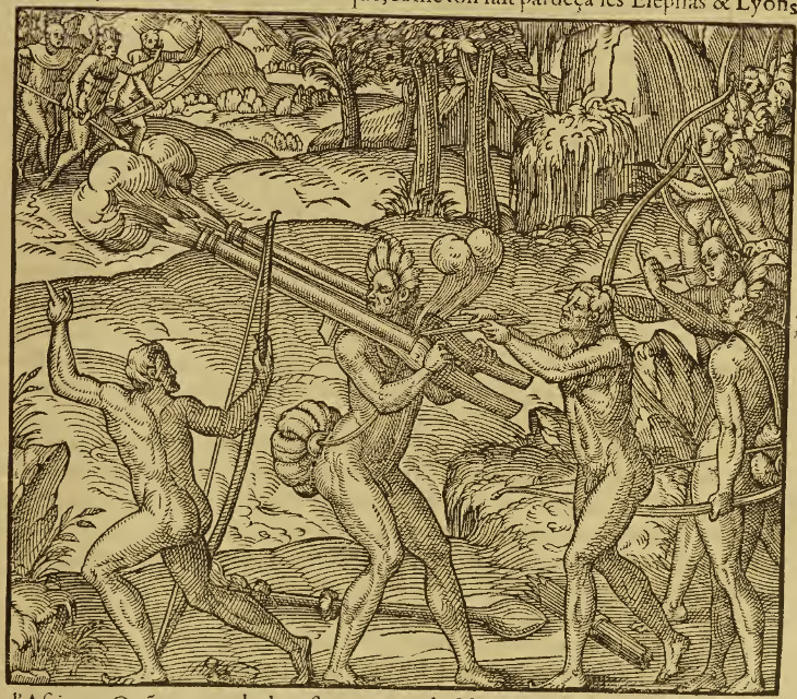 Ruse de Quoniambech.